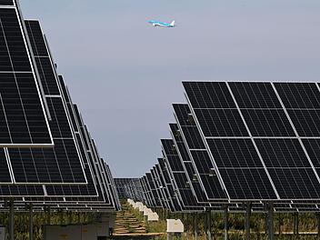 Agri-Photovoltaik-Anlage in Sch&ouml;nefeld