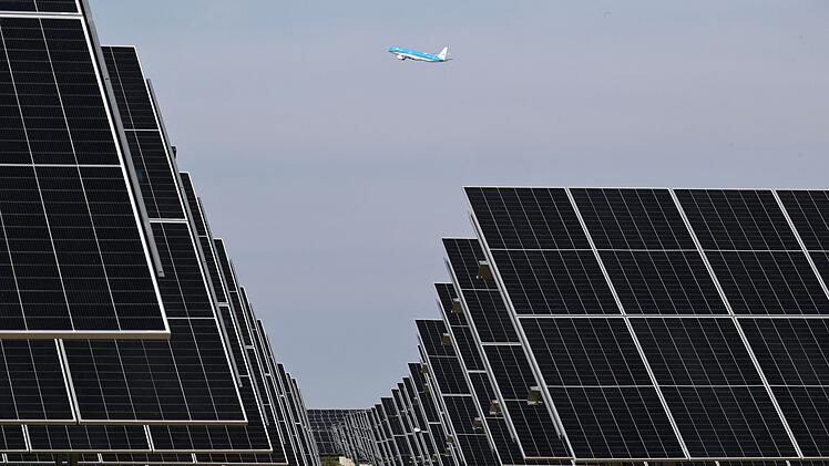 Agri-Photovoltaik-Anlage in Sch&ouml;nefeld