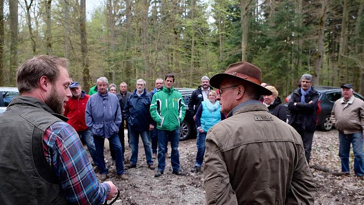 Gang durch den Gemeindewald in Oberthulba.  Foto: Gerd Schaar