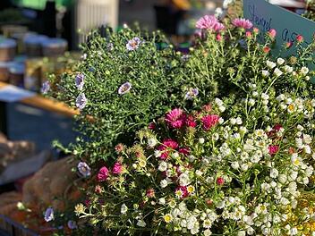 Herzogenaurach: Wochenmarkt läutet Frühling ein - was die Besucher erwartet