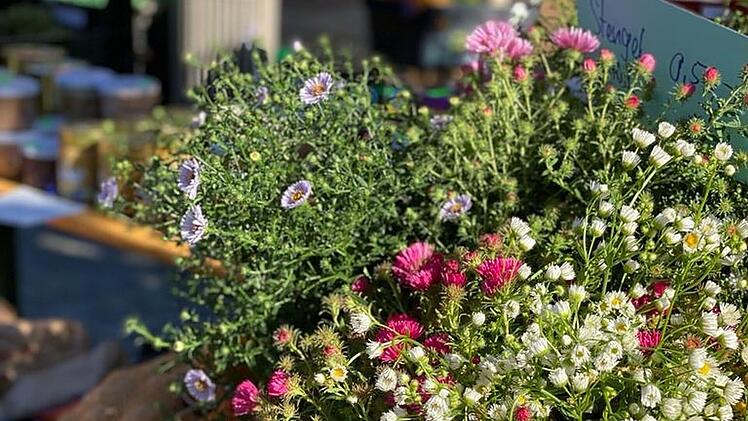 Herzogenaurach: Wochenmarkt läutet Frühling ein - was die Besucher erwartet