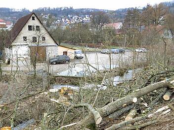 Bürgermeister Rudolf Braun macht Sicherheitsaspekte verantwortlich für die Rodung.  Foto: privat