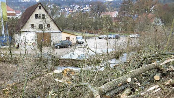 Bürgermeister Rudolf Braun macht Sicherheitsaspekte verantwortlich für die Rodung.  Foto: privat