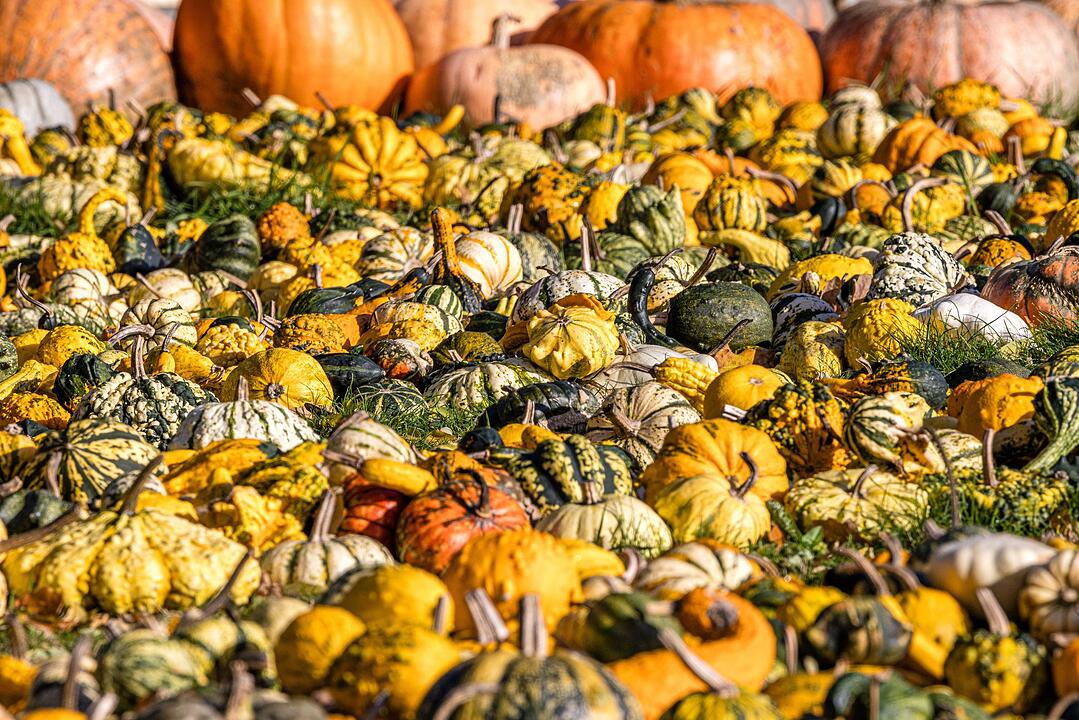 Herbststimmung in Brandenburg