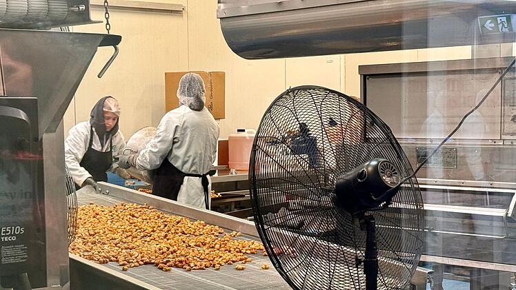 Macadamias in Australien