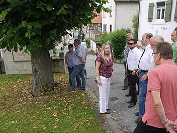 Von Skepsis geprägt waren die Wortmeldungen, als der Coburger Kreis-Bauausschuss über die Zukunft der Linde vor der Kirche diskutierte. Foto: Berthold Köhler