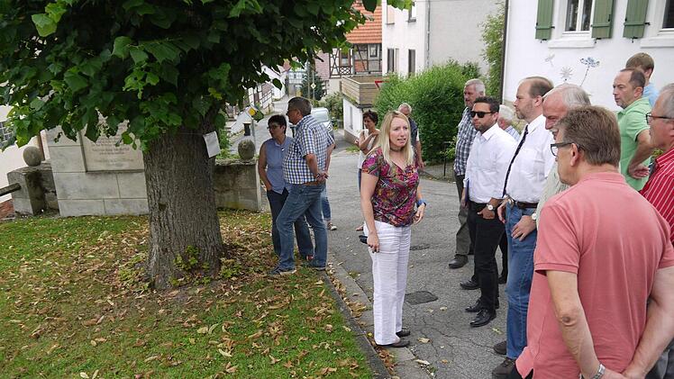 Von Skepsis geprägt waren die Wortmeldungen, als der Coburger Kreis-Bauausschuss über die Zukunft der Linde vor der Kirche diskutierte. Foto: Berthold Köhler