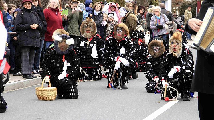 Impressionen vom Faschingsumzug der Weisendorfer Blummazupfer. Foto: Richard Sänger