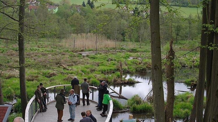 Die Biberplattform im Staatsbad. Foto: Stephanie Elm