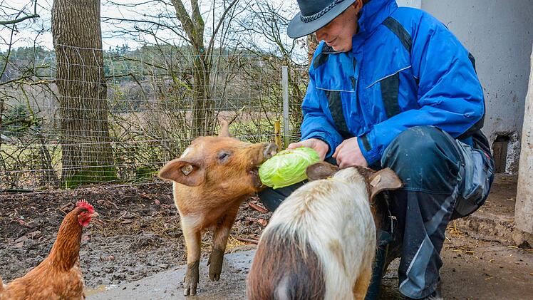 Die beiden Rotbunten Husumer Schweine  und eine Schar Hühner fühlen sich auf dem Bauernhof der Familie Fischer wohl. Mindestens zwei Mal pro Woche veröffentlicht der 28-Jährige Michael Fischer Kurzfilme auf seinem FarmVlog.Dagmar Besand