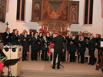 Der gemischte Chor des Liederkranzes Frohsinn, Leitung Ingrid Geyer Foto: Evi Seeger