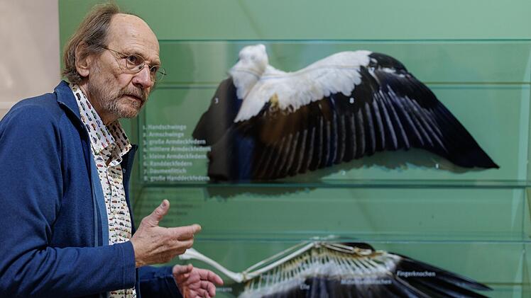 Westf&auml;lischen Storchenmuseum