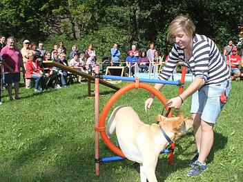 Beim Reifendurchsprung hatte Neros Frauchen Franziska Bock noch die Leine in der Hand, dann übernahm ihr Labrador die Regie. Foto: Sonny Adam