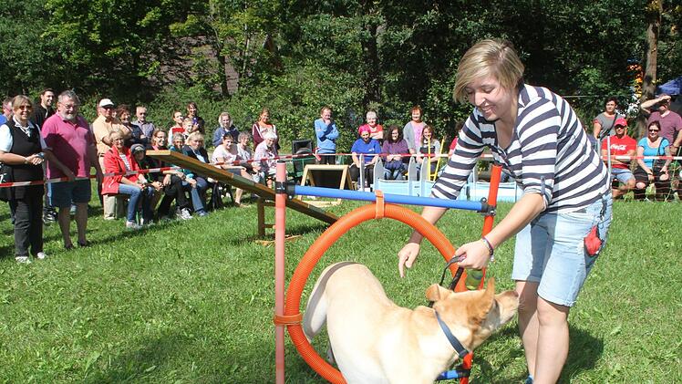Beim Reifendurchsprung hatte Neros Frauchen Franziska Bock noch die Leine in der Hand, dann übernahm ihr Labrador die Regie. Foto: Sonny Adam