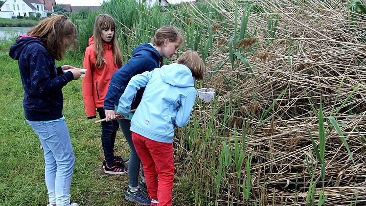 Impressionen vom "Earth Day"   Foto: Richard Sänger