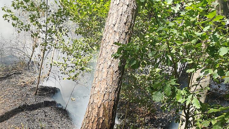 Waldbrand ruft Feuerwehr auf den Plan