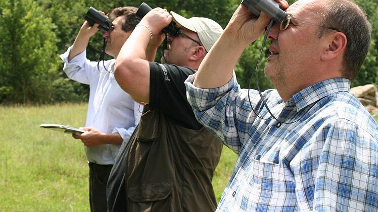 Ihnen entgeht nichts: Peter Aichmüller, Frank Popp und Bernd Zürner begutachten die Bäume an ausgewählten Standorten in Unterfranken.  Fotos: Dieter