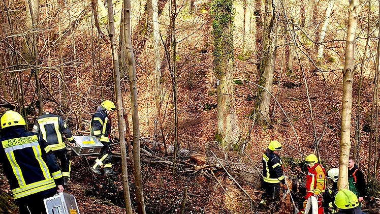 Landkreis Kulmbach: Reiterin stürzt mit Pferd Hang hinunter - "In großer Gefahr"