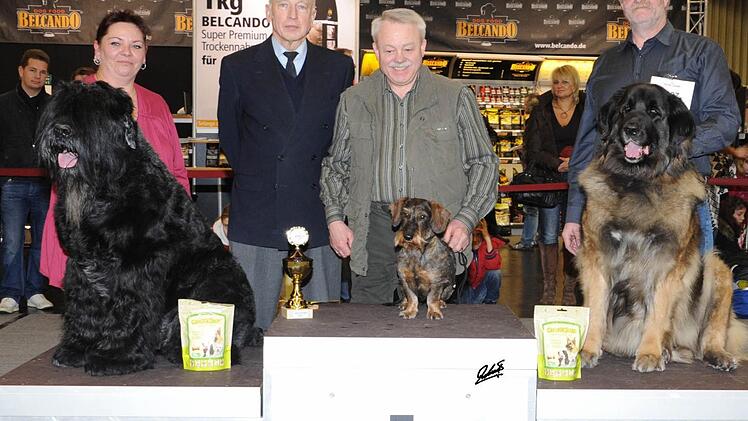 Der "großen" Konkurrenz getrotzt: "Gerovom Nonnenschlag" mit Reinhold Meyer auf dem Siegertreppchen ganz oben (mit im Bild: Die Nächstplatzierten und Richter Winfried Peper (Zweiter von links).