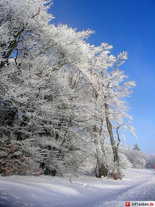 Eis und Schnee in Franken - die schönsten Winterleserfotos
