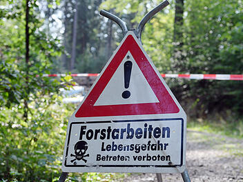 Forstarbeiten nahe Altdorf bei N&uuml;rnberg enden t&ouml;dlich