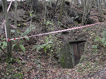 Der eingestürzte Keller wurde seit vielen Jahren nicht mehr genutzt.  Fotos: Josef Hofbauer