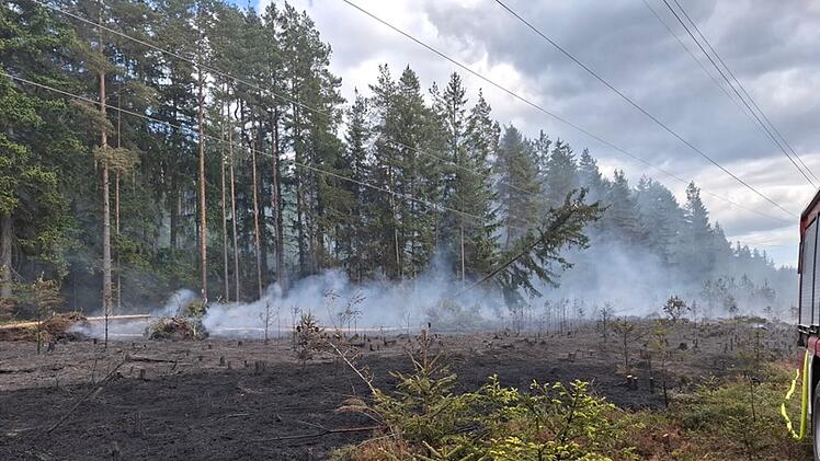 Martinlamitz: Große Waldfläche in Flammen - Kripo ermittelt