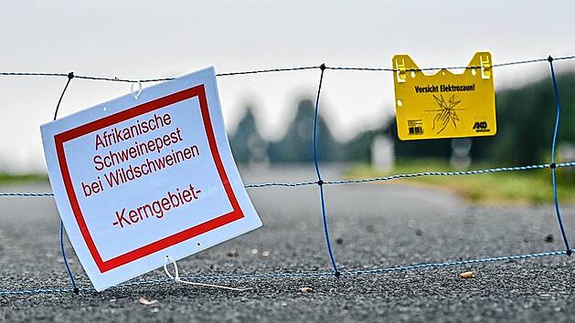 Schweinepest breitet sich aus - Mobiler Zaun im Oderbruch