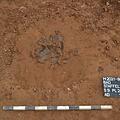 Scherben und Verfärbungen von Zaunpfosten lassen keine Zweifel: Auf dem Baugebiet in Bad Staffelstein stand vor über 3000 Jahren eine ganze Siedlung.