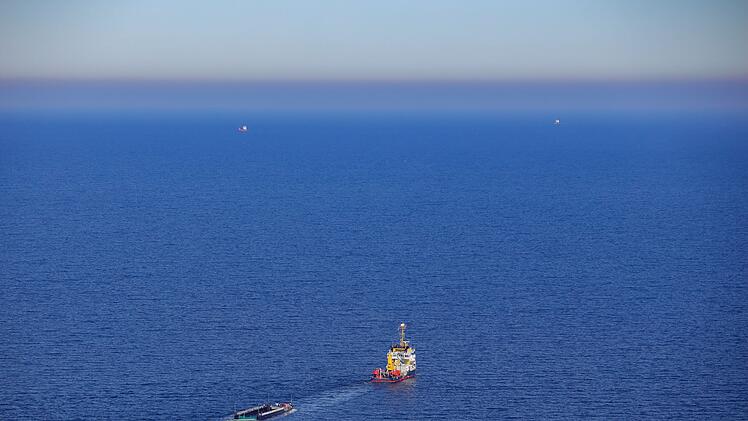 Weitere Entwicklung zum Buckelwal in der Ostsee