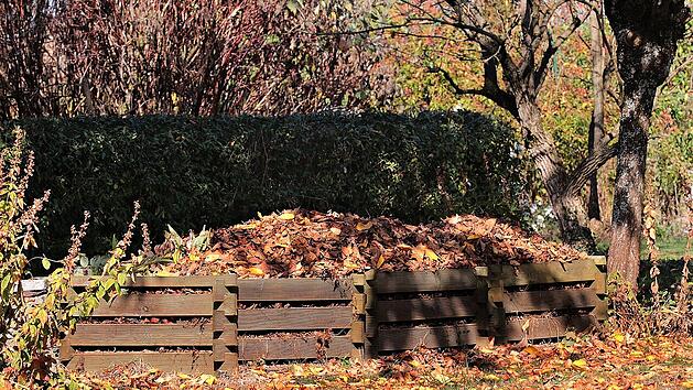 Der Kompost wächst im Herbst durch viele Ernteabfälle.