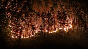 Waldbrand am Gardasee