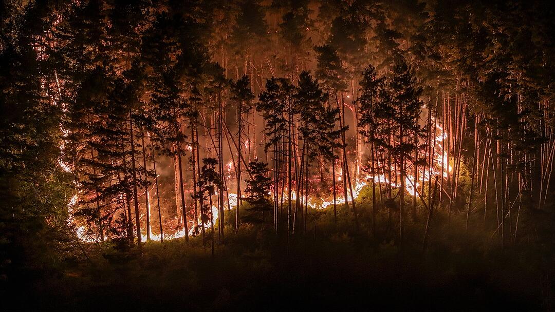 Waldbrand am Gardasee