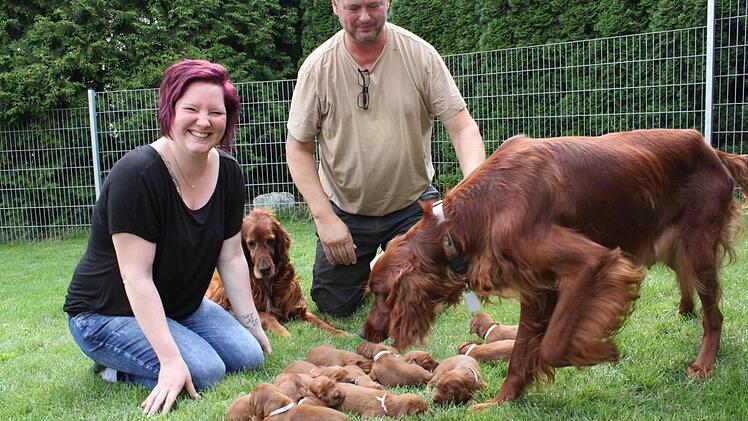Stolze Hunde-Eltern: Jessica und Matthias Seufert bemerkten erst knapp eine Woche vor der Geburt, dass Hündin Emma schwanger ist.