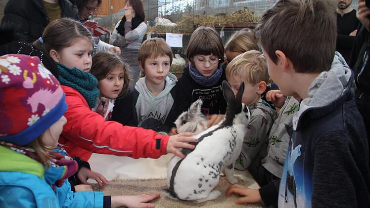 Die Kinder waren begeistert und die Kaninchen neugierig. Foto: Gerda Völk