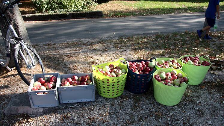 Der Andrang war heuer wegen der guten Obsternte sehr groß.   Foto: Richard Sänger