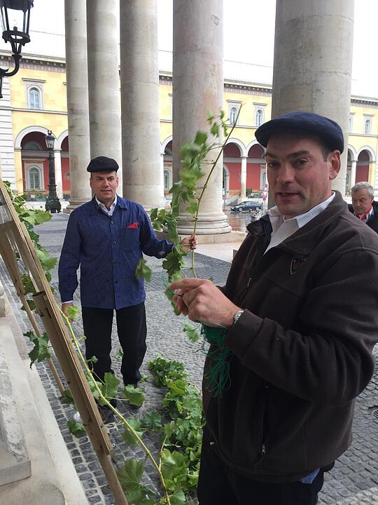 Wiesn-einzug der Winzer