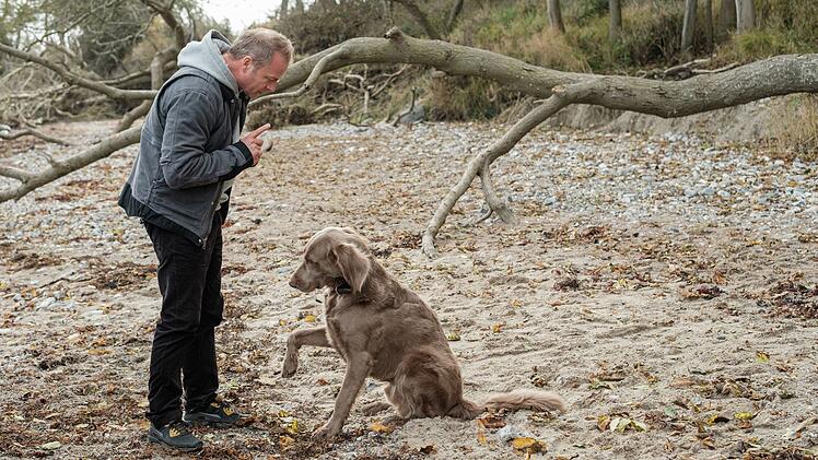 Hauke (Hinnerk Sch&ouml;nemann) wei&szlig; mit Hund Holly (Fritz) gut umzugehen. Im Umgang mit seiner Kollegin Hannah und der Tier&auml;rztin und inoffiziellen Ko-Ermittlerin Jule ist er dagegen nicht ganz so begabt.