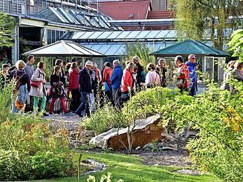 Der Botanische Garten hat auch am Abend seinen Reiz. Foto: Walter Welß