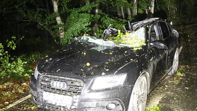 Ein fahrendes Auto wurde in Pegnitz von einem umstürzenden Baum erfasst. Der Fahrer hatte jedoch Glück und konnte sich selbst befreien. Foto: News5/Fricke