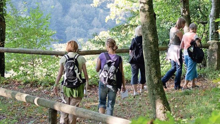 Eine Kräuterwanderung  Foto: PR