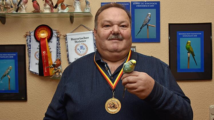Ferdinand Redel aus Zeil züchtet Farbenwellensittiche und wurde Ende 2018 deutscher Meister. Als Vorsitzender des bayerischen Landesverbandes der Vogelzüchter organisiert er heuer die bayerischen Meisterschaften der Farbenwellensittiche in der Tuchangerhalle in Zeil.  Ulrike Langer