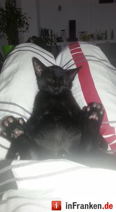 Foto: Sarah-Jane Huber