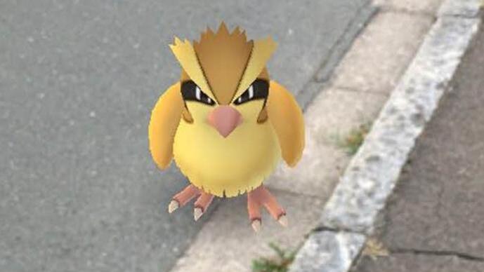 Das Taubsi ist eines der häufigen Pokémon, das dem Pokémon-Go-Spieler an jeder Straßenecke begegnen kann. Foto: privat