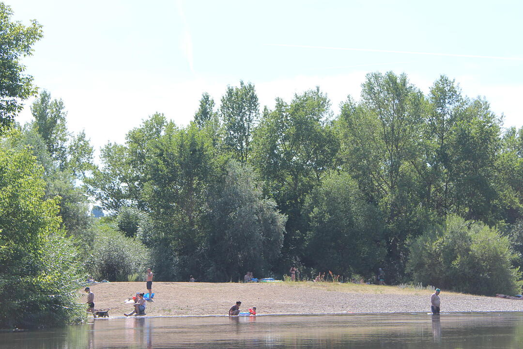 Kanutour auf dem Altmain