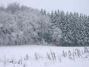 Trotz K&auml;lte und gelegentlichem Schnee sind Wildtiere in der Lage, ihr Futter zu finden. Foto: Mirjam Stumpf