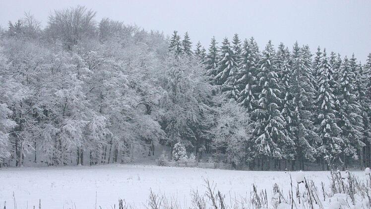 Trotz Kälte und gelegentlichem Schnee sind Wildtiere in der Lage, ihr Futter zu finden. Foto: Mirjam Stumpf
