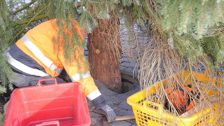 Das Loch wird mit Splitt verfüllt, so dass der Baum sicher steht.