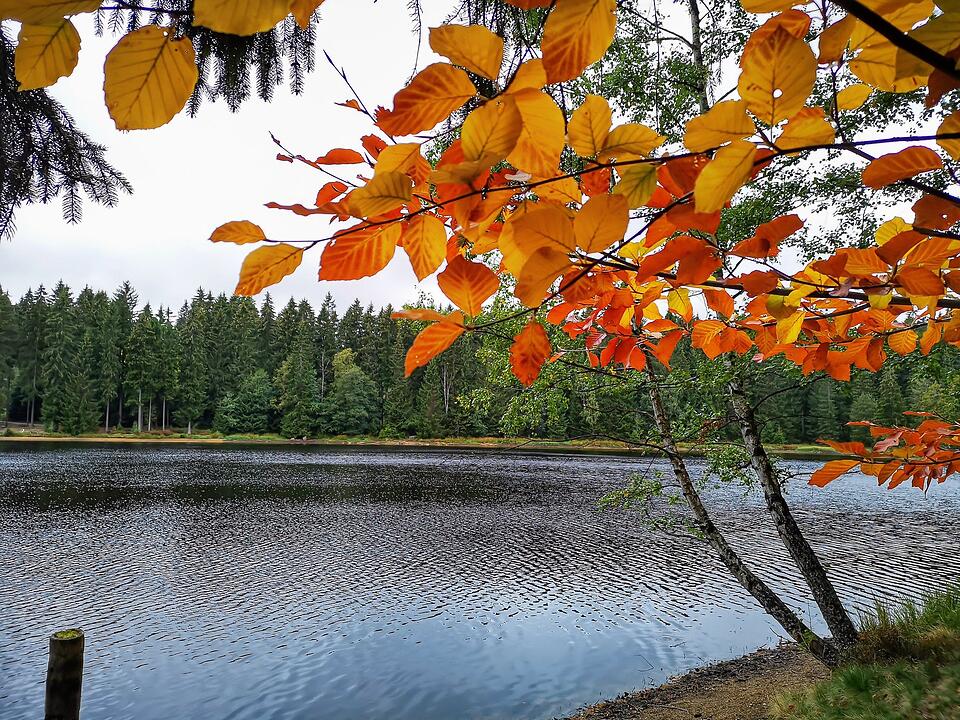 Urlaub in Franken: Fichtelgebirge im Sommer