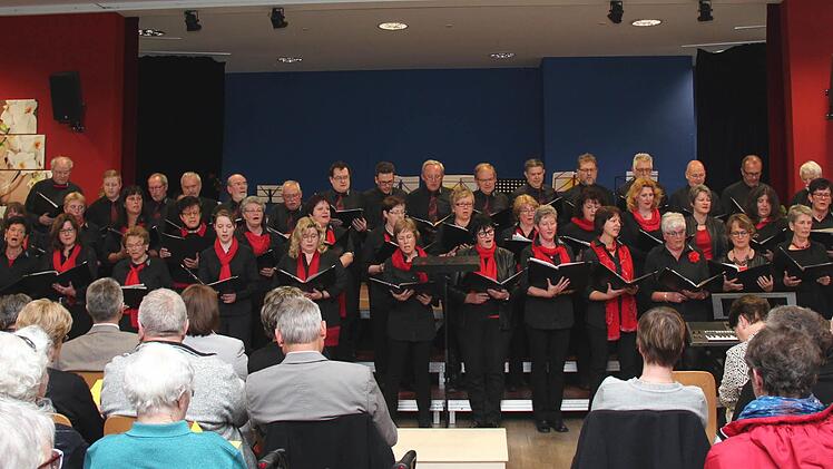 Musik- und Gesangverein Adelsdorf (MGV) Foto: Johanna Blum